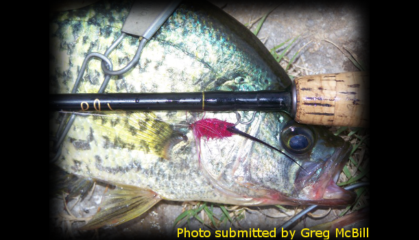 Find your Fishing Clinic