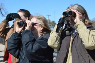 Women watching birds with binoculars.