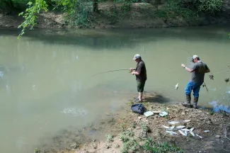 steve pennington fly rods