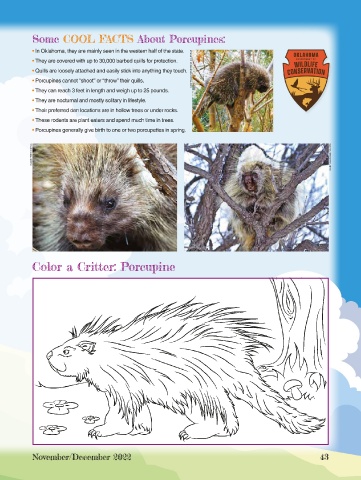 Ol Pejeta Conservancy - Did you know porcupine quills have long
