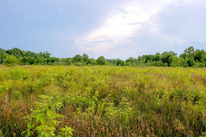 Private acreages that offer hunting, fishing and wildlife viewing opportunities are good candidates to enroll in the new Oklahoma Land Access Program, which offers payments in exchange for public outdoor recreation access.  [KELLY ADAMS/ODWC]