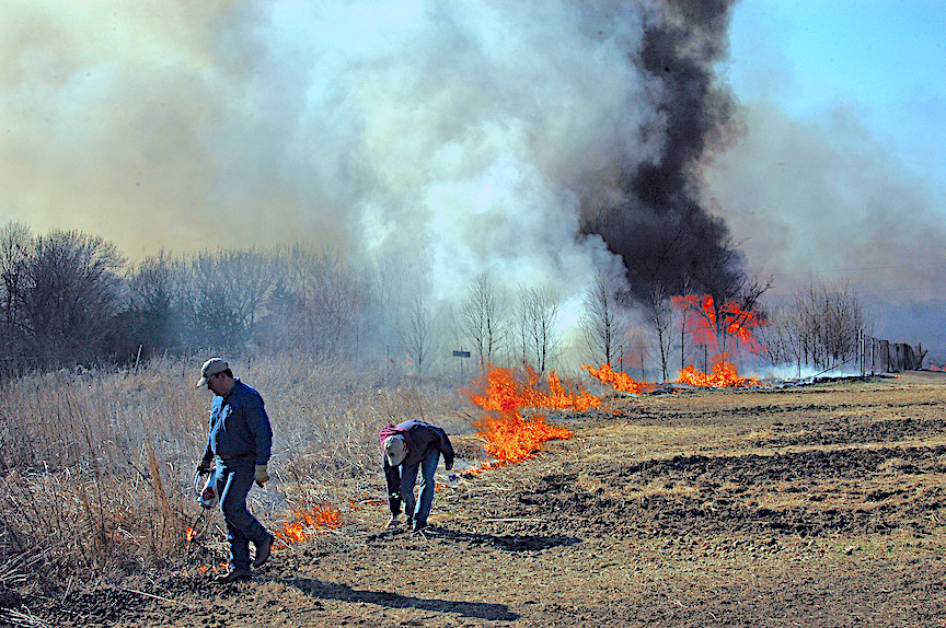 Prescribed burn for habitat management