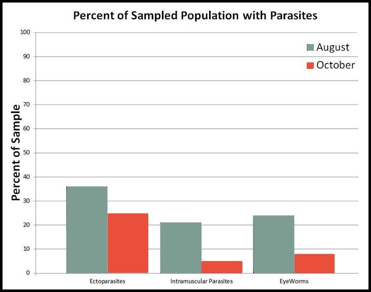 Percent of sampled quail population with parasites
