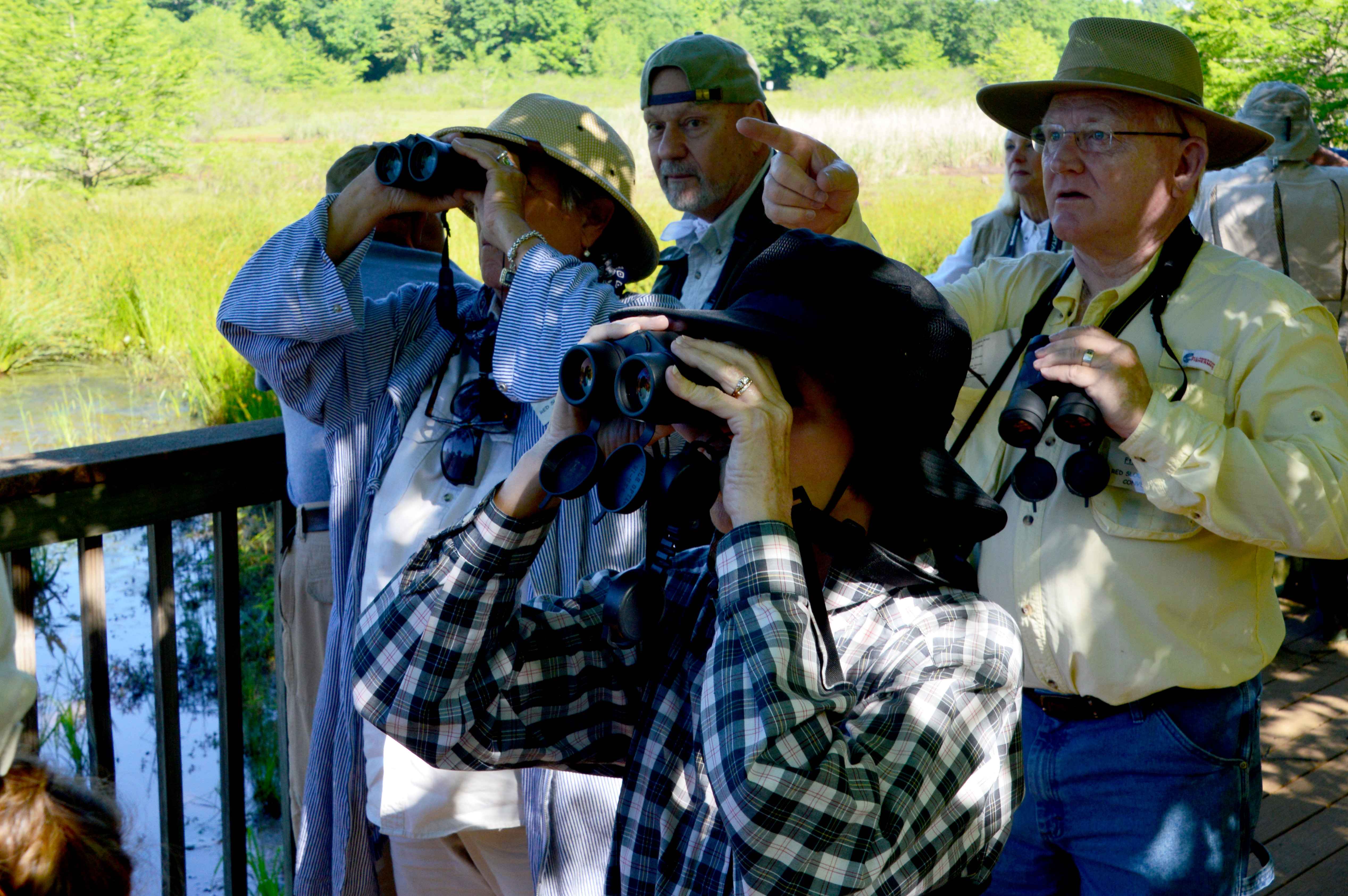 Individuals with binoculars bird watching.