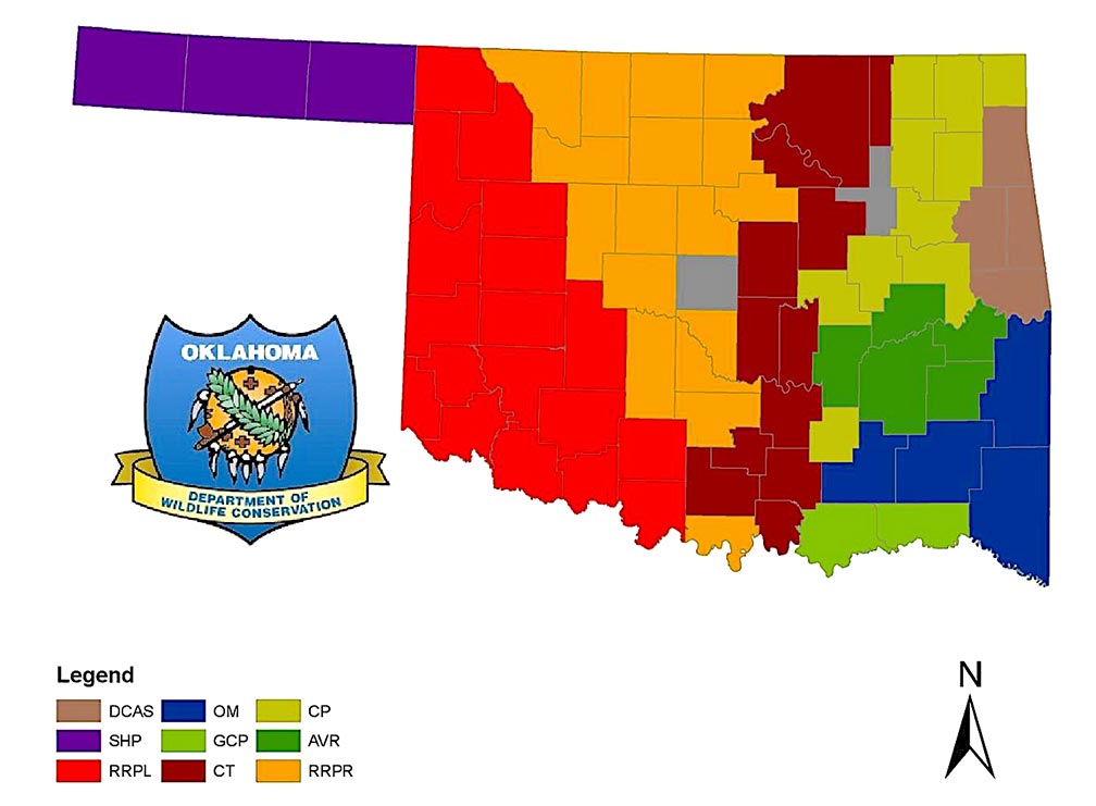 Statewide Quail Index Drops After August 2020 Roadside Surveys ...