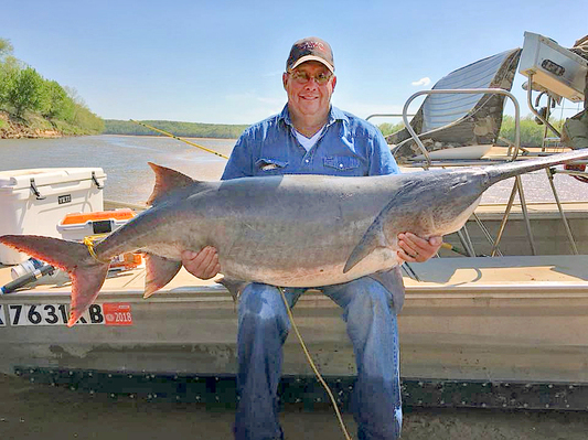 New State Record Paddlefish Weighs 132.5 Pounds