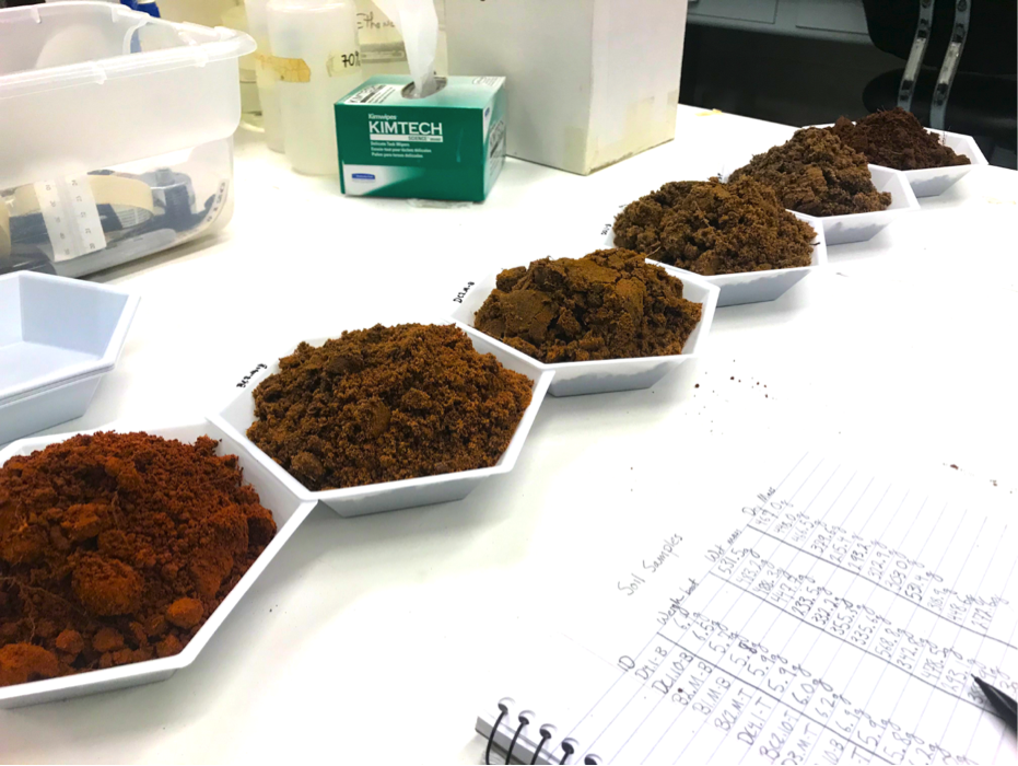 Soil samples from Packsaddle WMA showing a range of soil colors from red to dark brown, illustrating the variability in the soils present within the WMA. (Jacob Reeves)