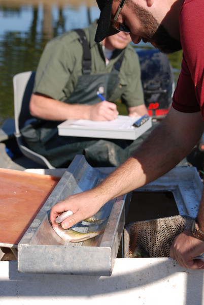 Fish Population Assessment  Oklahoma Department of Wildlife