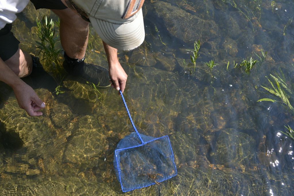 Fish & Turtle Traps, Farm Pond Management