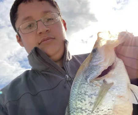 Crappie Fishing Videos