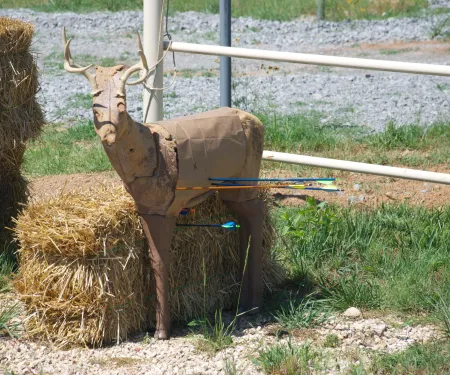 Decoy deer with arrows in it being used for Explore Bowhunting.