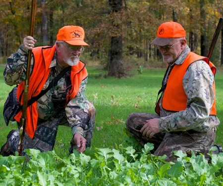 Two men examining vegetation while wearing hunter orange in the field.