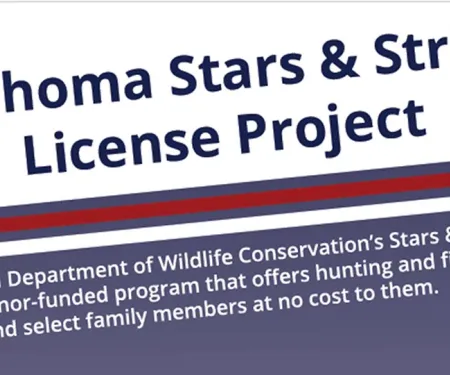 Oklahoma Stars & Stripes License Project
