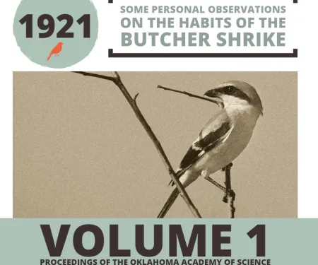 1921 Some personal observations on the habits of the butcher shrike Volume 1.