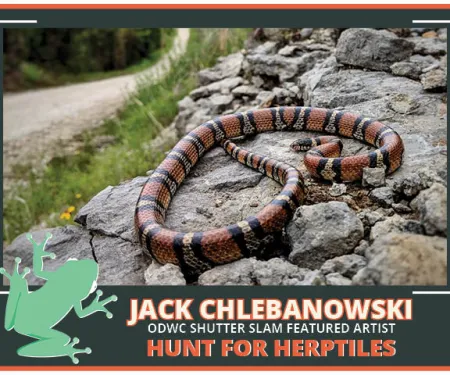 Jack Chlebanowski, hunt for herptiles ODWC Shutter SLAM thumb.