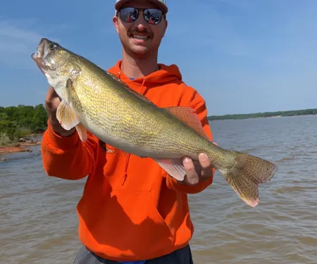 Fishing in Illinois-Saugeye