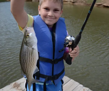 A boy stands on a dock with a fish.