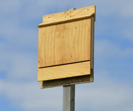 A slim wooden box hangs from a post. 