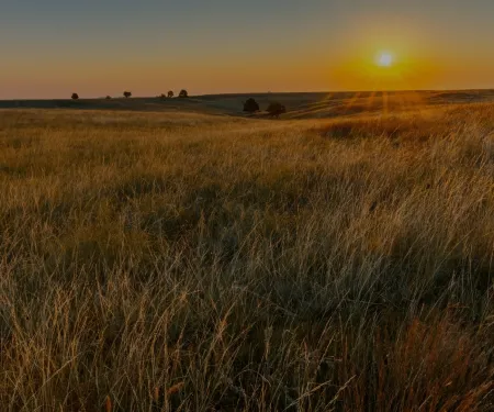 A view of upland prairie during the sunset.