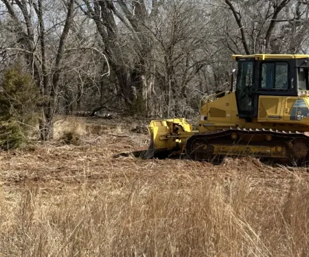 Clearing eastern red cedar has helped turkey numbers rise on Malson’s land. 