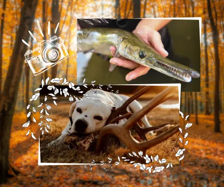 Dog chewing on antlers, gar being held