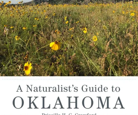 A book cover showing a field of flowers in front of a low mountain and images of five animals underneath.