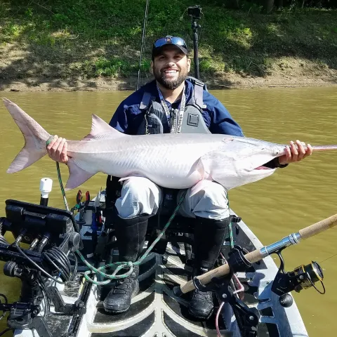 Paddlefish Fishing Videos