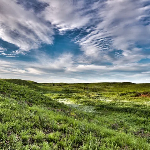 Ellis County WMA, photo by Kelly Adams