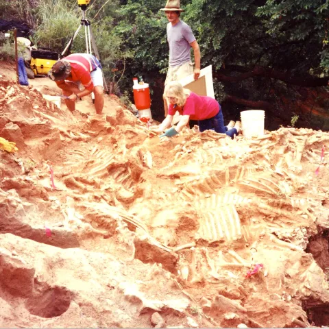 Photo provided by Leland Bement/Oklahoma Archaeological Survey