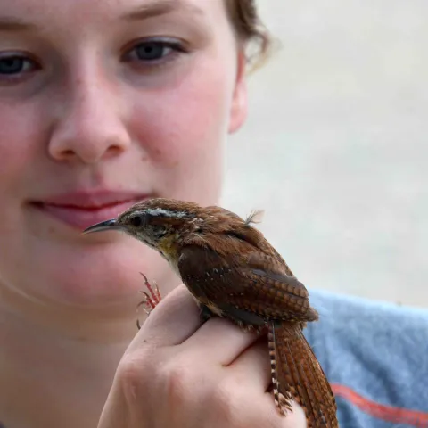 Woman holding bird on hand.  She might be a princes...