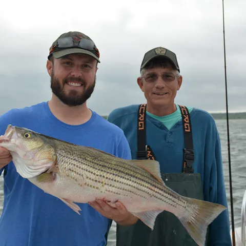 Fisheries staff show a striped bass.