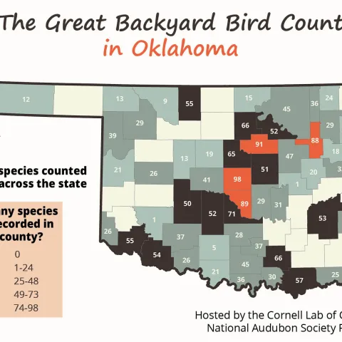 Great Backyard Bird Count Map