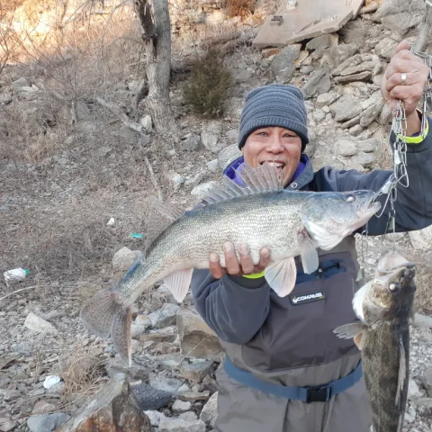 Julius Smith holds the Walleye he caught at Ellsworth.