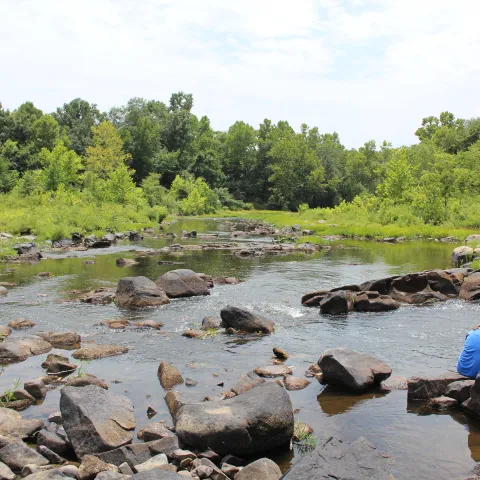 SWOSU & OU students search water for mayfly caddisfly.  Photo provided by SWOSU