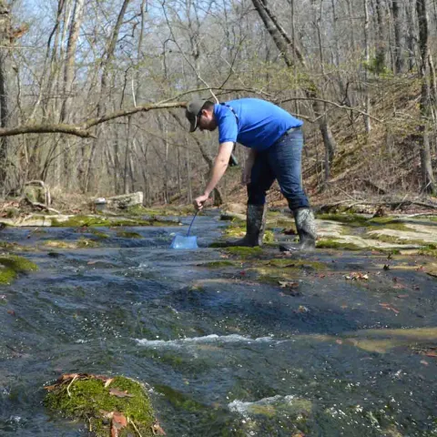 Man surveying creek for salamanders.