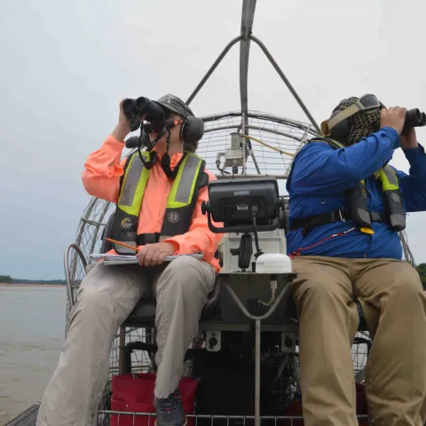 Biologist on airboat with binoculars.