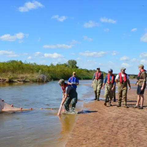 Seining For Arkansas River Shiners