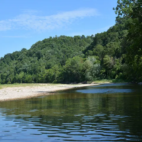 Barren Fork, photo Skylar St Yves
