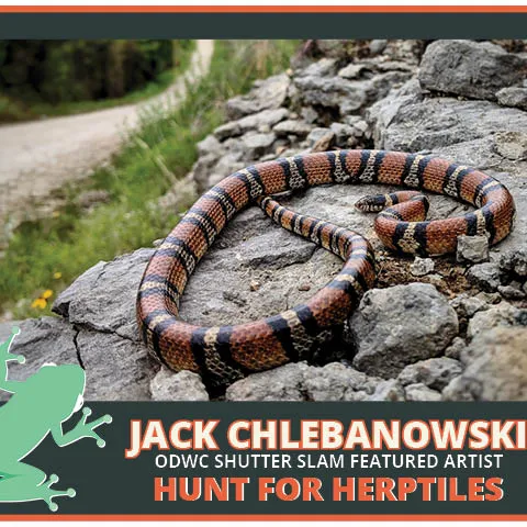 Jack Chlebanowski, hunt for herptiles ODWC Shutter SLAM thumb.