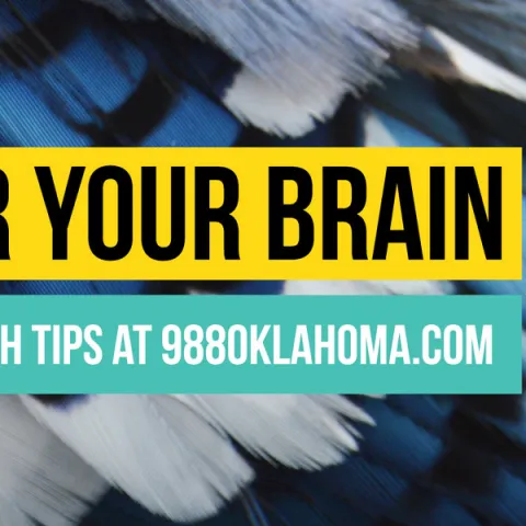 A close up of a blue and white feather with text overlays encouraging people to connect to 988