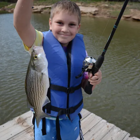 A boy stands on a dock with a fish.