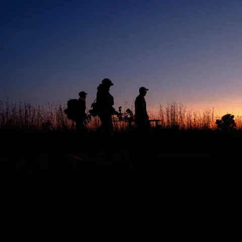 A group of archery hunters are walking through a field at sunrise.