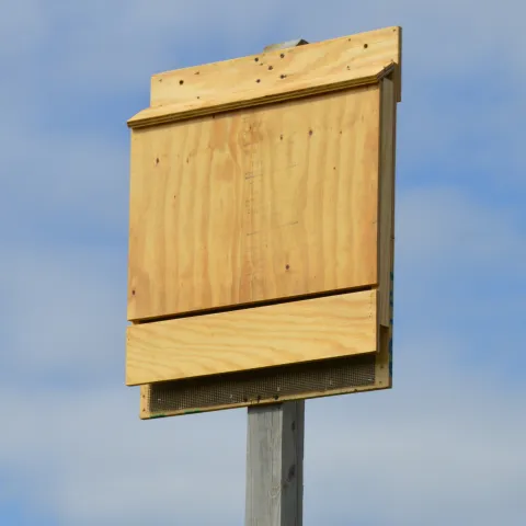 A slim wooden box hangs from a post. 