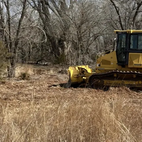 Clearing eastern red cedar has helped turkey numbers rise on Malson’s land. 