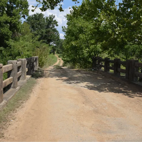 Photo of a dirt road at Cherokee WMA.