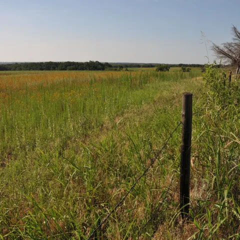 Barbed wire fence in the foreground with a large open field leading to dense woods in the background on private hunting land.