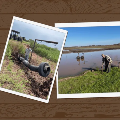 A collage of two photos over a brown wood graphic. The photos show McCurtain County farmer John Sanders has been selected as the 2025 Landowner Conservationist of the Year by the Oklahoma Department of Wildlife Conservation. 