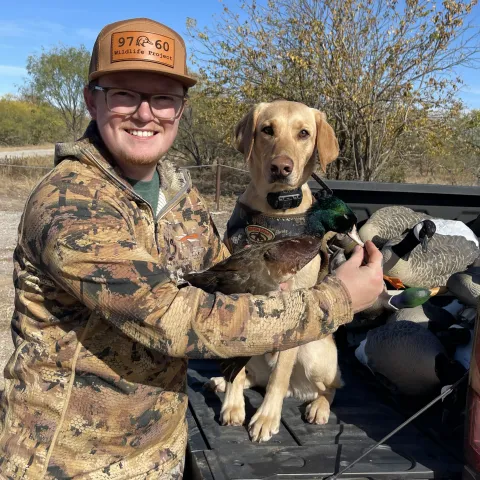A man holds a duck with a brown body, green head, and white-ish bill in front of a yellow dog that is sitting on a truck tailgate. 
