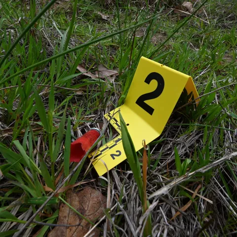 A photograph of poaching evidence. A yellow evidence marker with the number two on it is next to an empty shotgun shell on grass.