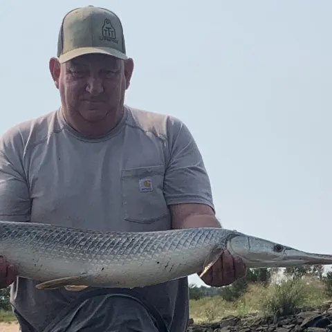 Chris Few holding a Longnose Gar